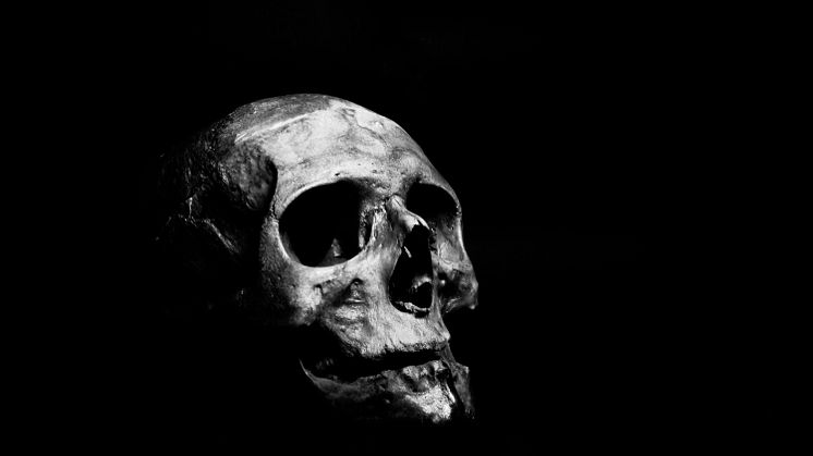HAXOR_4_skull