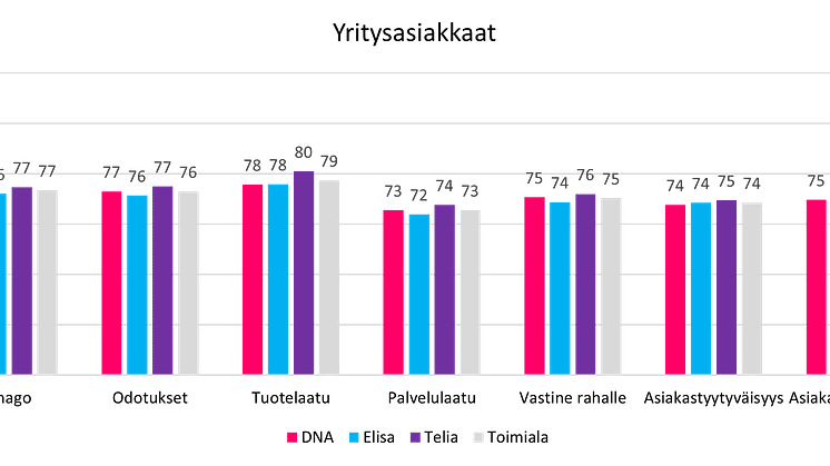 Asiakastyytyväisyyden osa-alueet, puhelinliittymät, yritysasiakkaat 2024.png