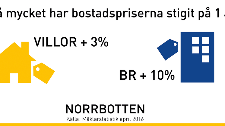 Mäklare i Norrbotten:  ”Amorteringskravet får bostadspriserna att stiga”