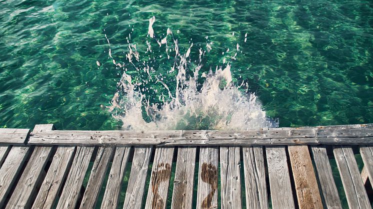 Footprint Data Management is a sustainable and scalable solution to manage Product Environmental Footprint. It's a data-driven approach to sustainability work.