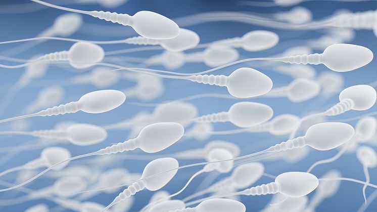 Bild Copyright: Tatiana Shepeleva - Fotolia