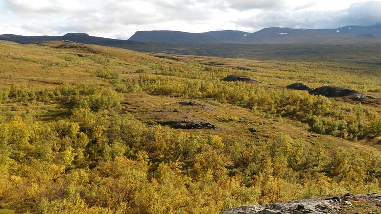 Flygburen laserskanning i naturvårdens tjänst