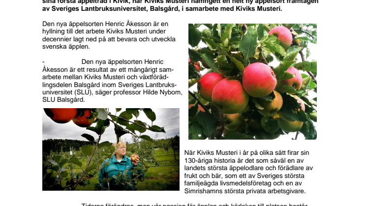 Kiviks Musteri firar 130 år med ny äppelsort