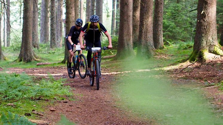 Gravel Rallye Black Forest