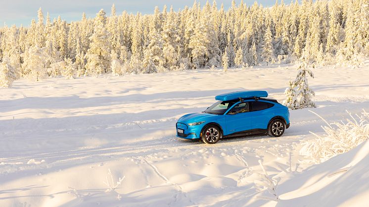 Ford Mustang Mach-E Vinter 2022