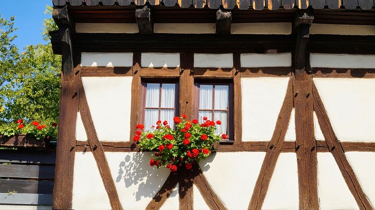 shutterstock_2133922587