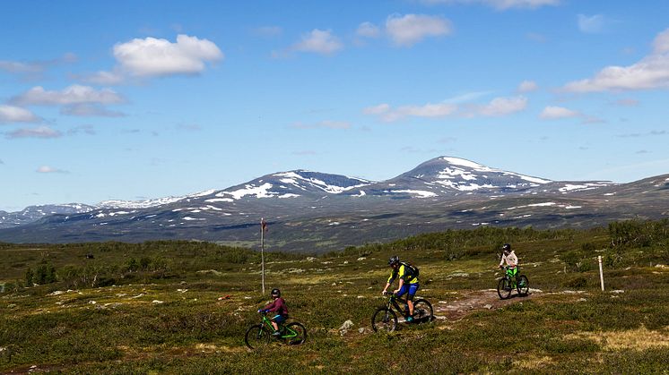 Flow i fokus för cykelsatsning 