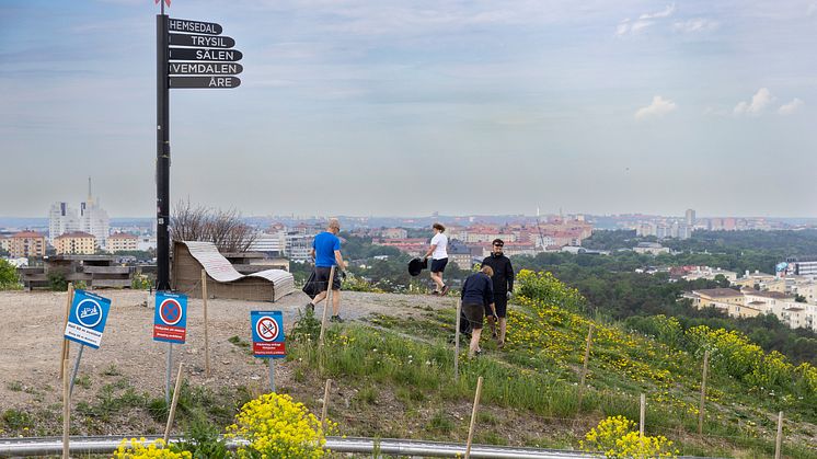 Skräpplockning Hammarbybacken 2024.jpg