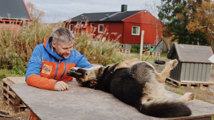 Henriette Danielsen_Mynewsdesk_Tana HuskyF31F8CE5-8BFE-41D9-BFF6-904935BB3815