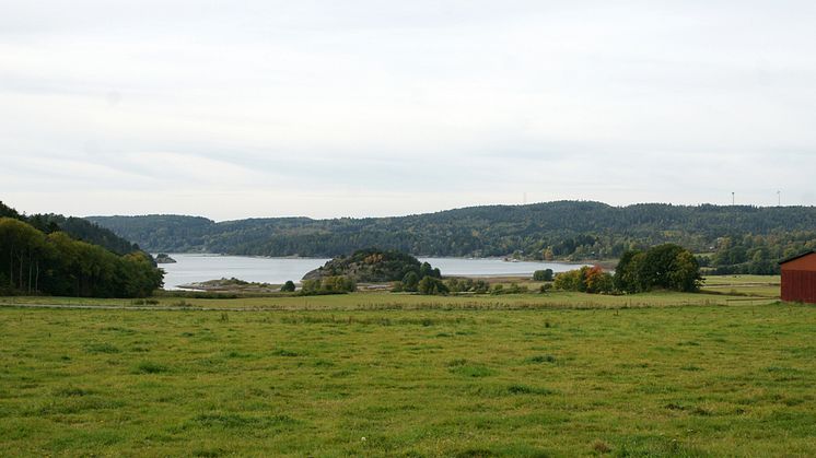 Vill du vara med och utveckla landsbygden?