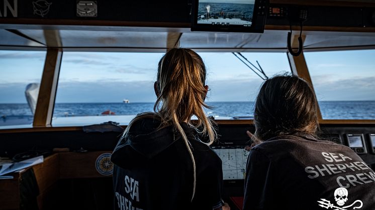 I sistemi Raymarine sono un elemento fondamentale nella battaglia giornaliera dei volontari per salvaguardare gli ecosistemi marini dalle conseguenze letteralmente devastanti della pesca illegale