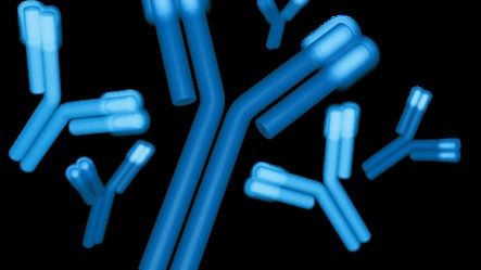 Scandinavian Biopharma expands its product portfolio with an immunosuppressive drug 