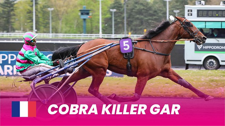 Ny_Cobra Killer Gar_1920x1080.jpg