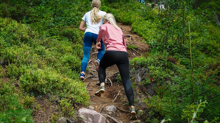 Löpning fjällen 