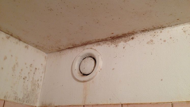 Uppsökande bostadstillsyn gav resultat