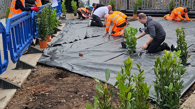 New Southgate replanting 1.jpg