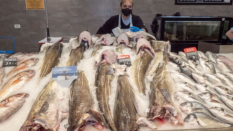 Fersk skrei i spansk fiskedisk