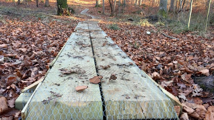Restaureringsarbetet av Blekingeleden i Ronneby kommun innefattar även  broar, spänger och staketgenomgångar.  Foto: Per Engkvist