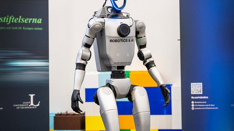 humanoid_1_low.jpg