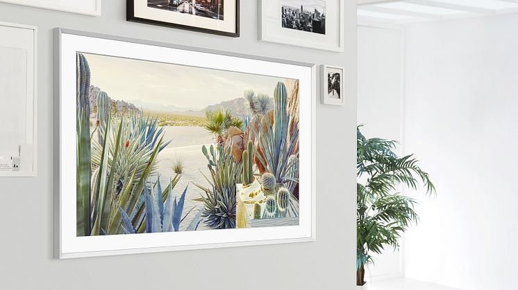 The Frame Lifestyle 1