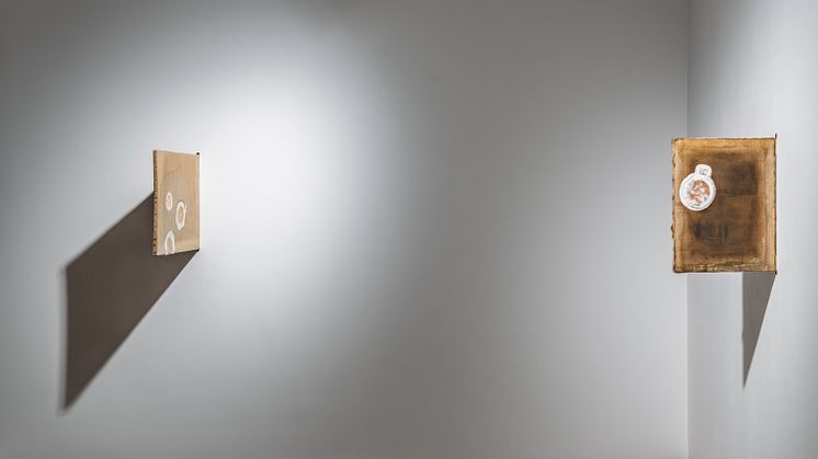Installationsvy Swallowimage Sväljbild (2025). Foto_ Jean-Baptiste Béranger.jpg