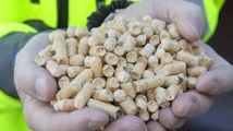 Ökad pelletsproduktion i Sverige trots en krympande marknad