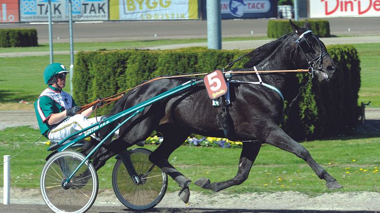 Lördag och söndag: V75 på Solänget, Extra V75 på Bjerke