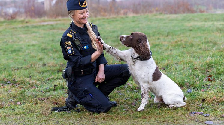Årets Narkotikasökhund 2024 och förare Ruth Baciu high five_Foto Karin Wildheim.jpg