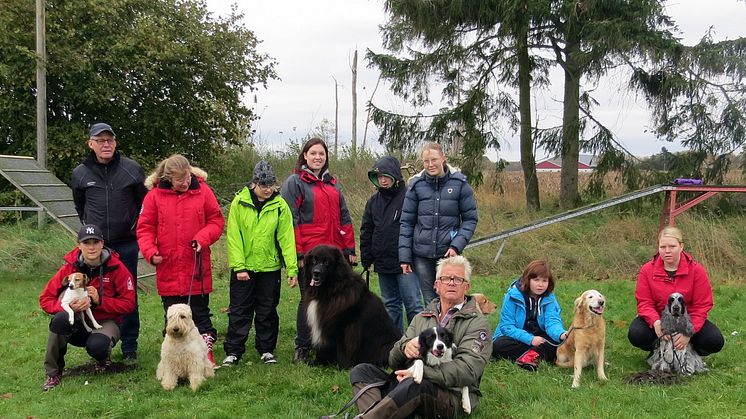 Hund för alla – studiecirklar för funktionsnedsatta