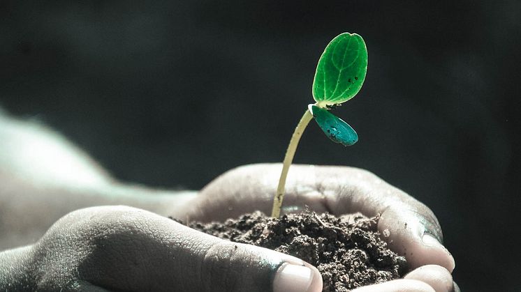 Intresserad av KSLA:s mentorskapsprogram? Sista ansökningsdag den 14 april 