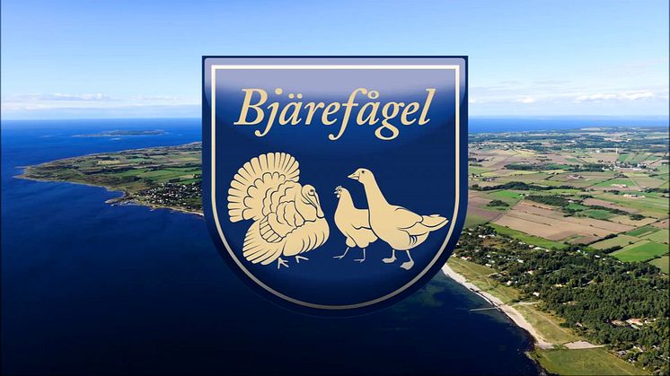 Nya kycklingar i Bjärefågels stall