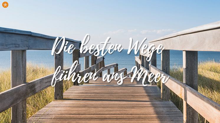 Zwischen Wellenrauschen und Wattwürmern - Unsere Sommerromane von Nord- bis Ostsee