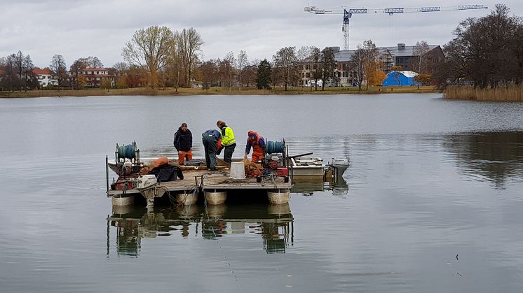 Bild från senaste reduktionsfisket i Sundstatjärnet 2019