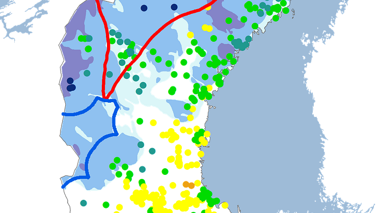 tussilago2024snö.png