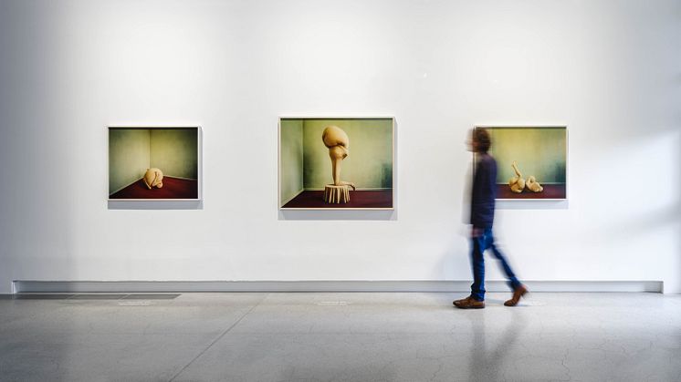 Installationsvy Wunder
