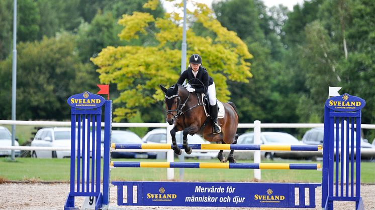 Vinnare Sveland Cup kat D 2016