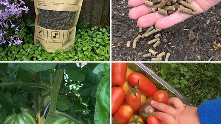 floraPell® Schafwollpellets sind patentiert und nachhaltig