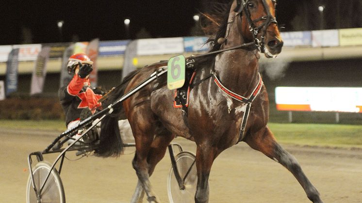 Elitloppet 2011 är lottat
