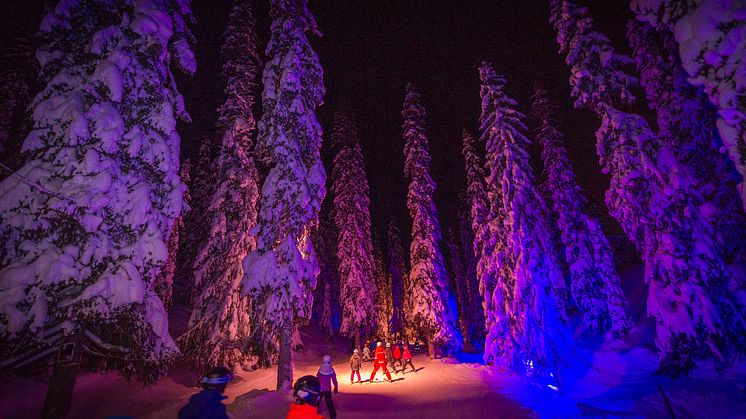 Sälen Hundfjället Trollskogen kväll skidskola grupp.jpg