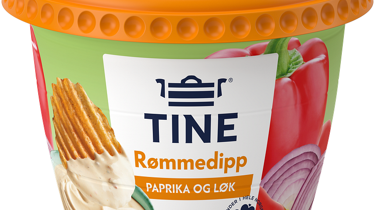 7038010068621Rommedipp_300g-1C.png