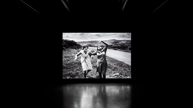 Alfredo Jaar, Shadows, 2014 (Mixed media installation)