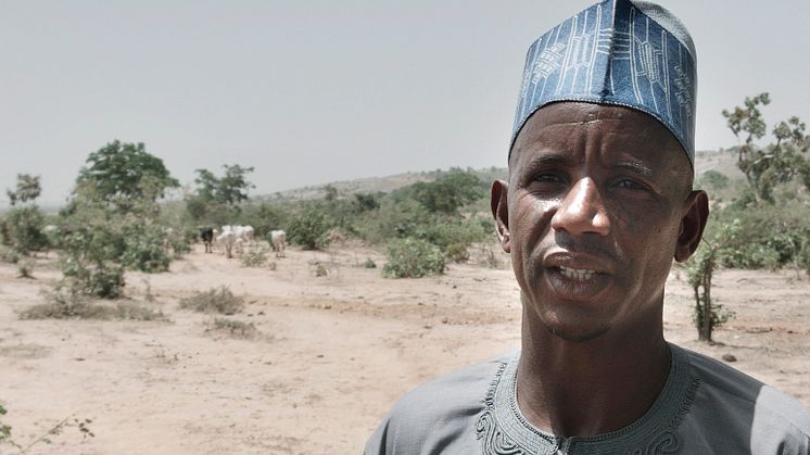 Alhaji Sani Aliyu, dairy farmer