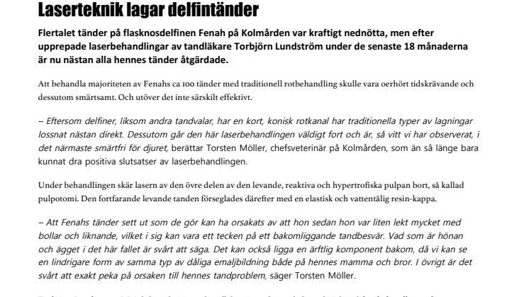 Laserteknik lagar delfintänder