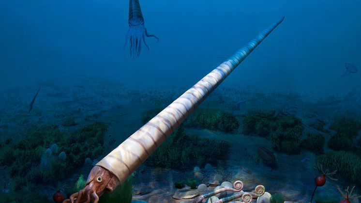 Fossil och evolution - miljöbild från ordovicium