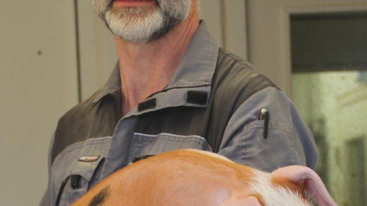 Håvard Ringnes 