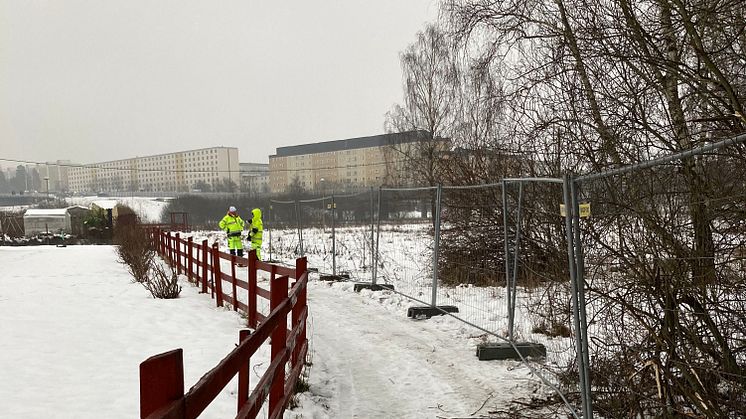 Stängslas in