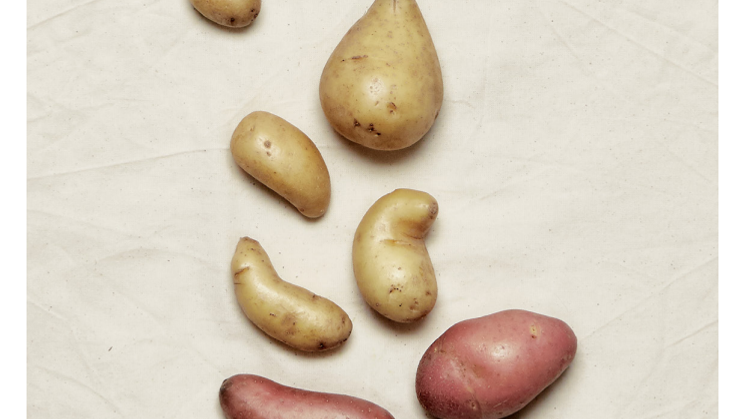 Potatisguiden