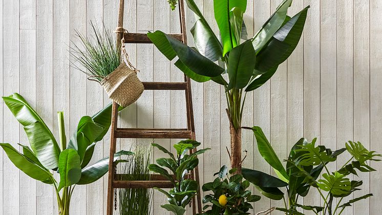 5_Rusta_S1_2019_FotografSaraMedinaLind.StylistAndreaJörbrink