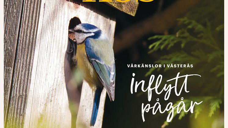 Läs Mimers kundtidning Hemma Hos nr 1/2021
