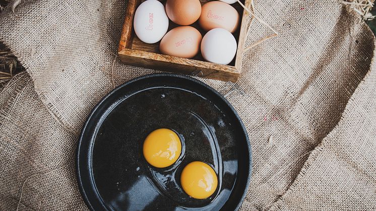 Ägg, som är en utmärkt källa till D-vitamin, har visat sig vara dubbelt så nyttigt mot vad man tidigare trott. Foto: Svenska Ägg